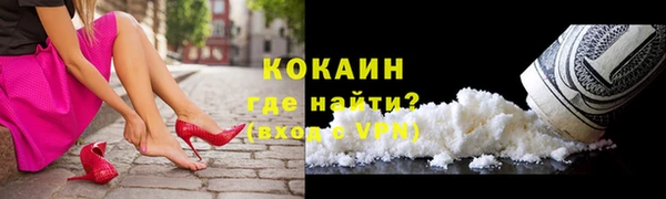 крисы Кедровый