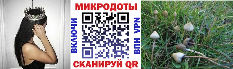Псилоцибиновые грибы Psilocybine cubensis  где можно купить   Осинники 