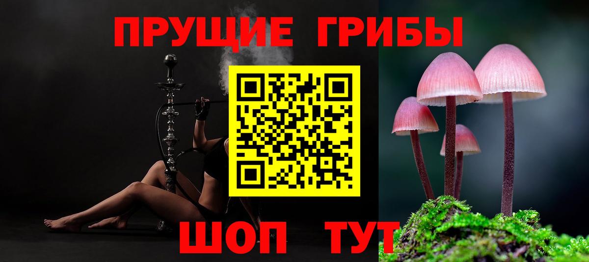 Псилоцибиновые грибы MAGIC MUSHROOMS  сколько стоит  Осинники  Вход с VPN 